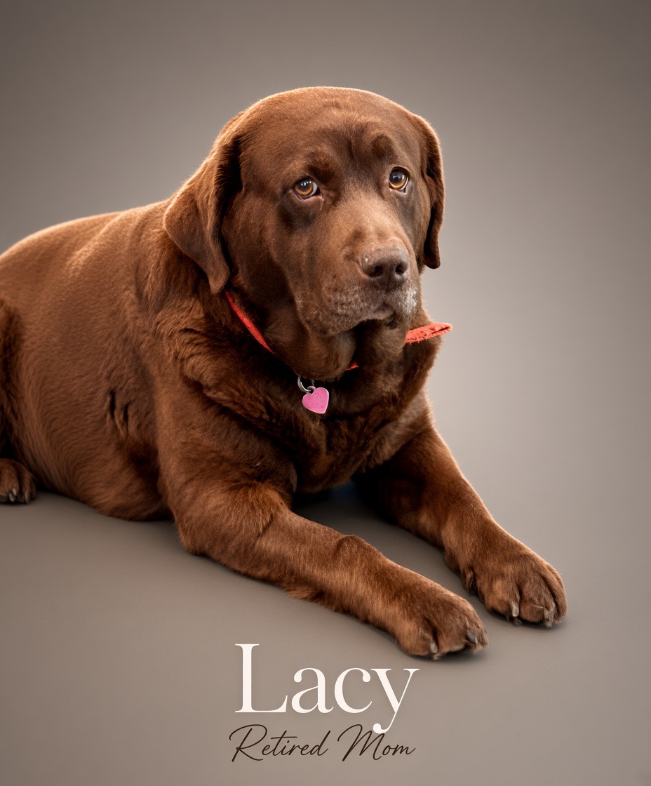 Lacy