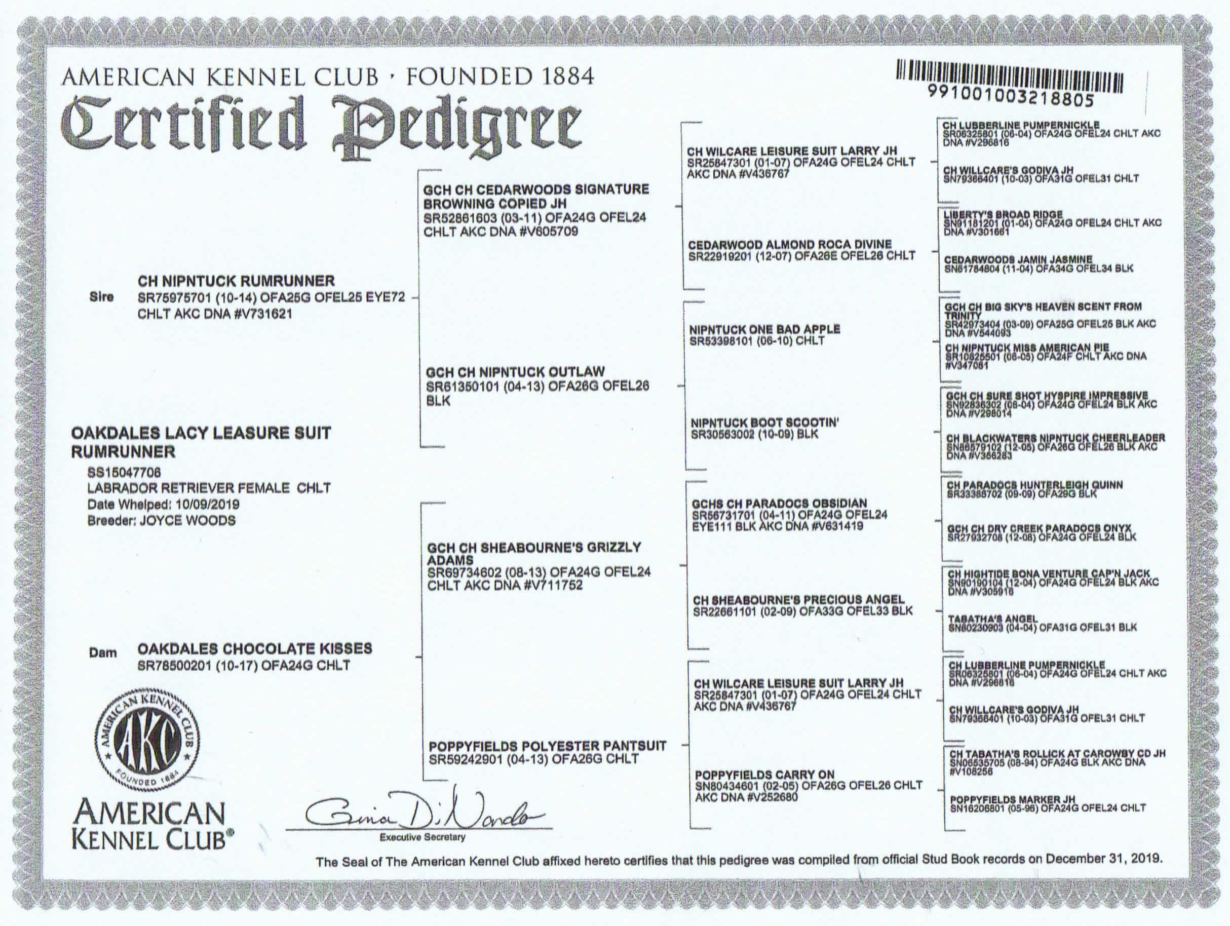 Lacy-Pedigree-min.jpg